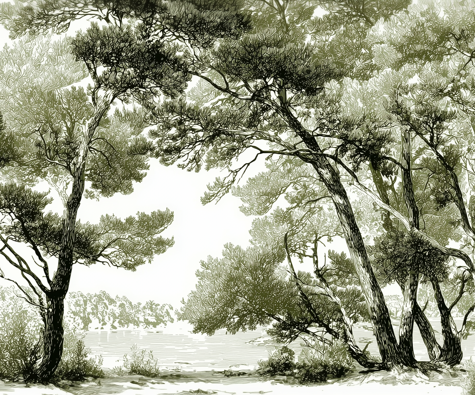 Image croppée