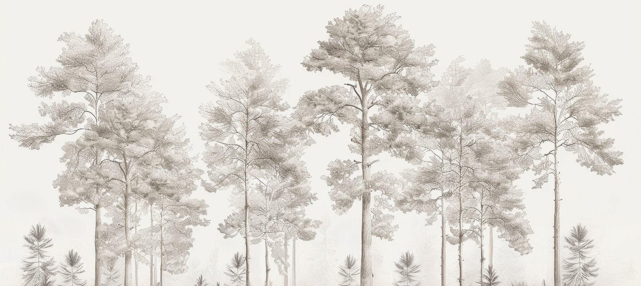 Douceurs des bois