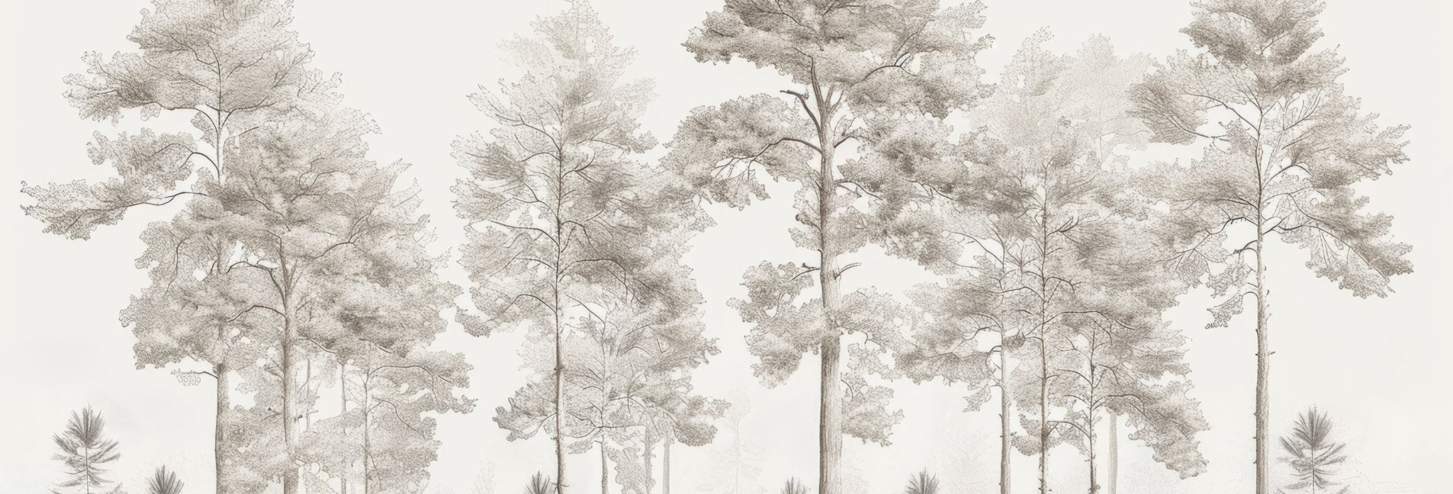 Douceurs des bois