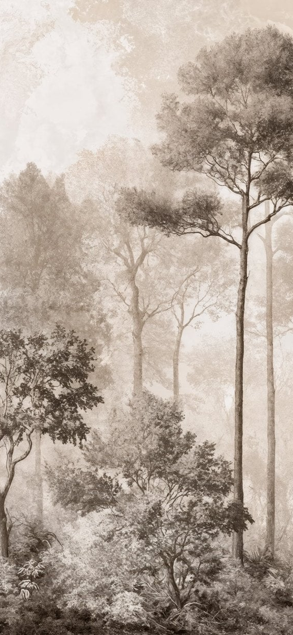 Forêt des Silences