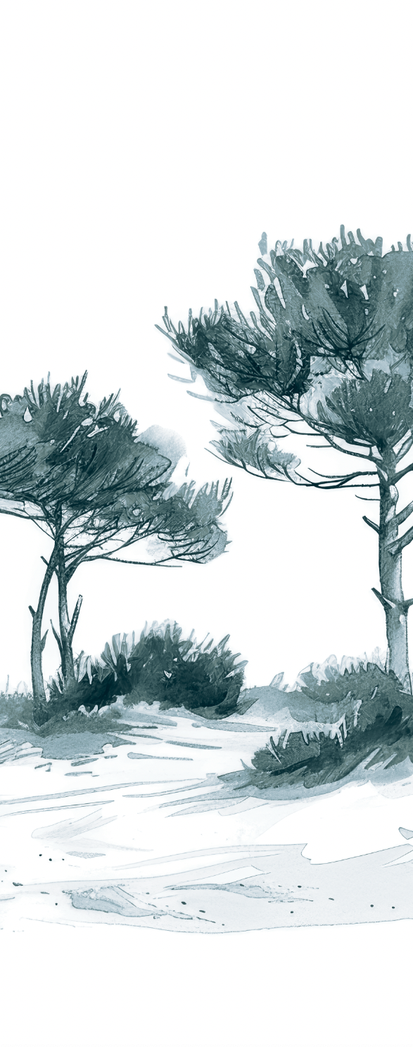 Image croppée