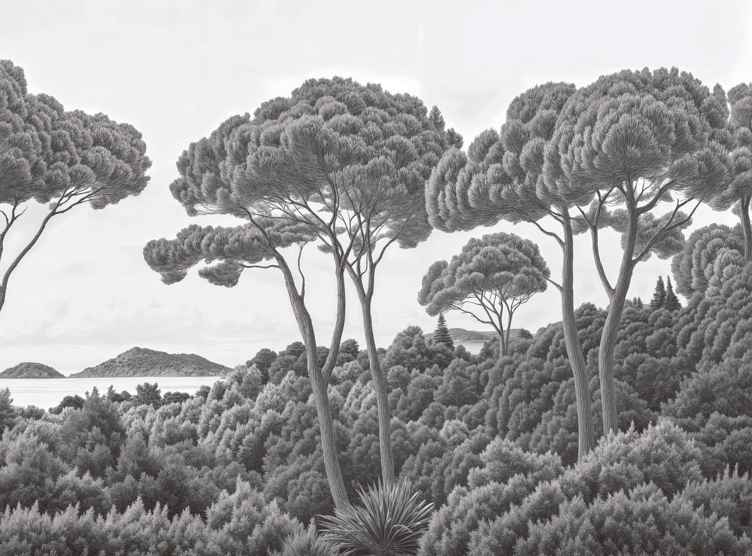 Image croppée
