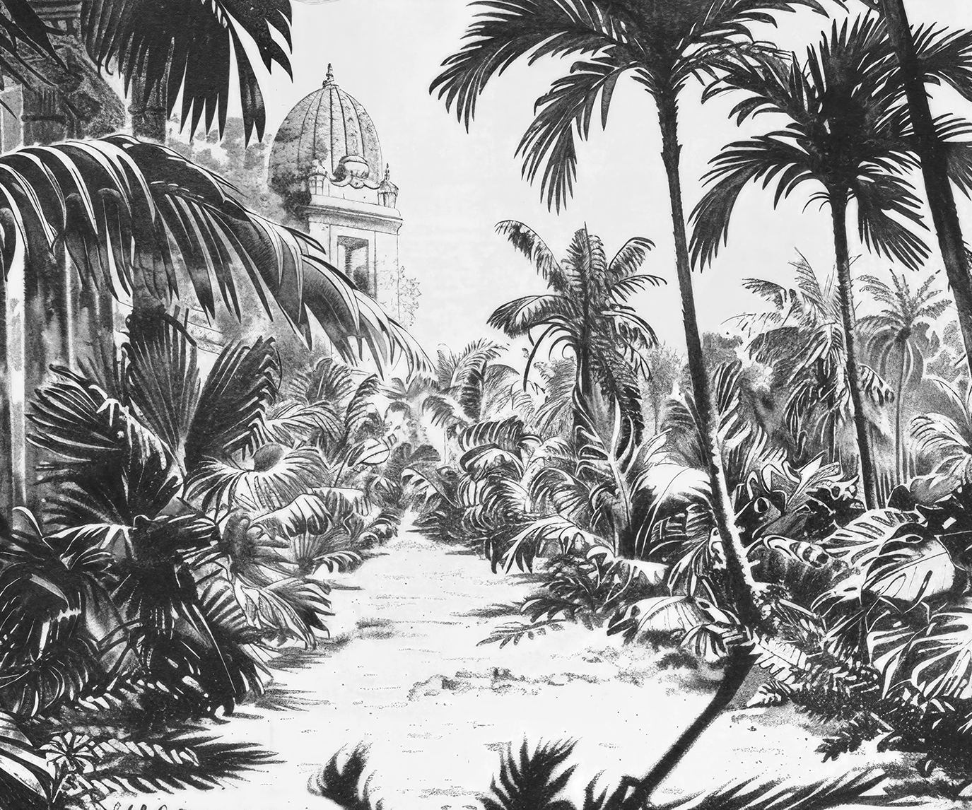 Image croppée