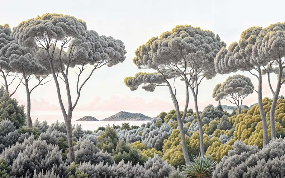 Image croppée