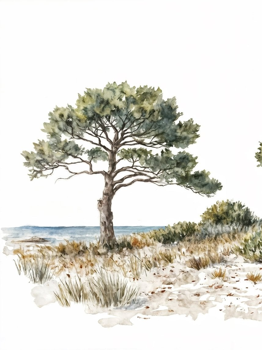 Brise des dunes