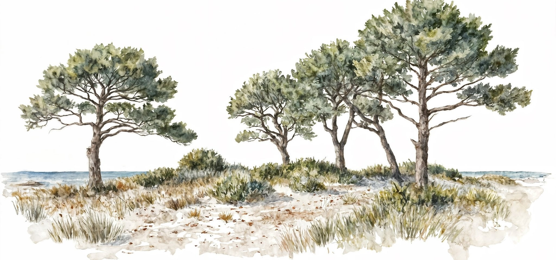 Image croppée
