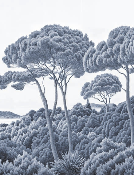 Entre pins et mer cyanotype