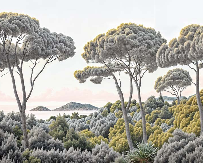 Image croppée
