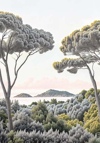 Entre pins et mer