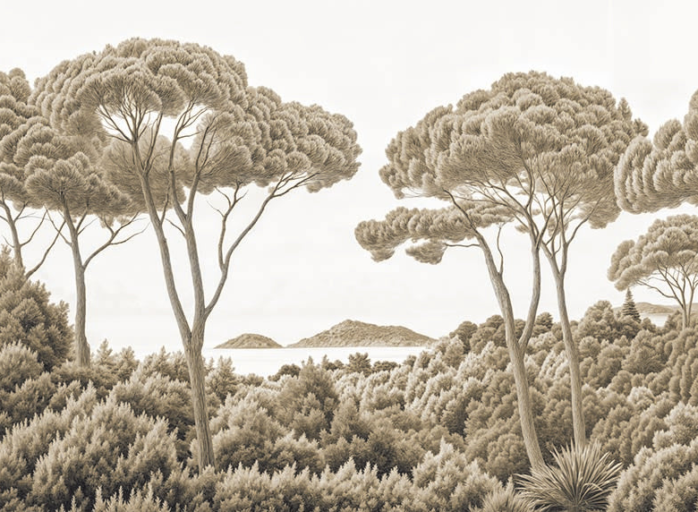 Image croppée