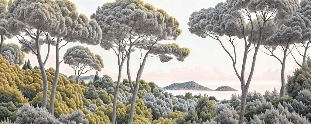 Image croppée