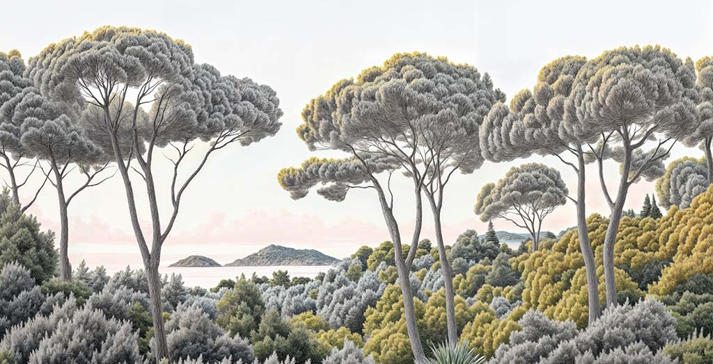Image croppée