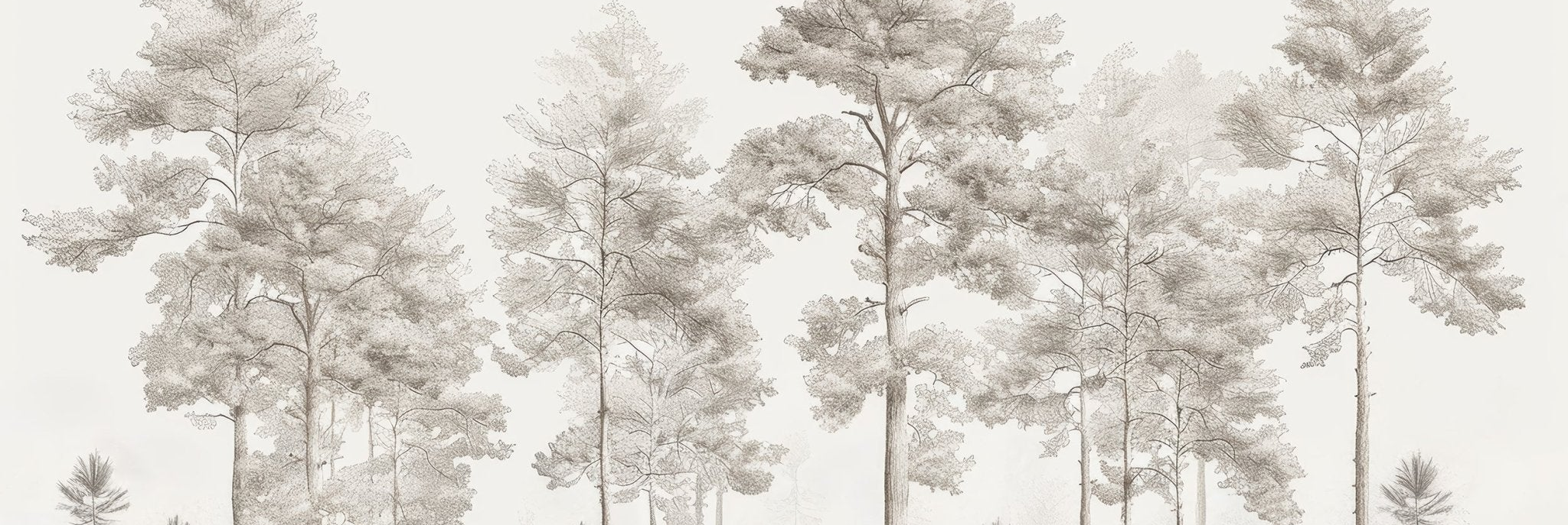 Douceurs des bois