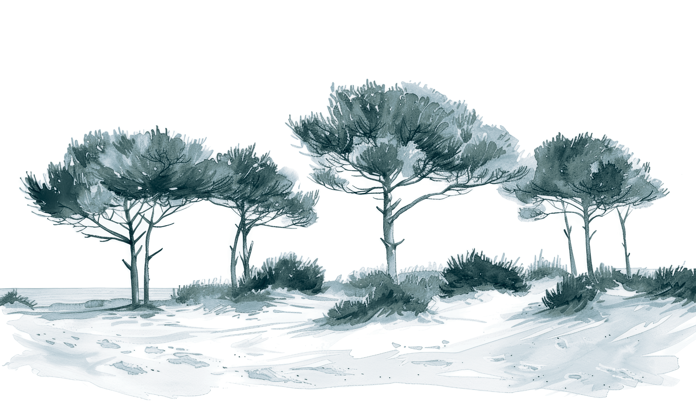 Les Pins de la Plage Bleu gris