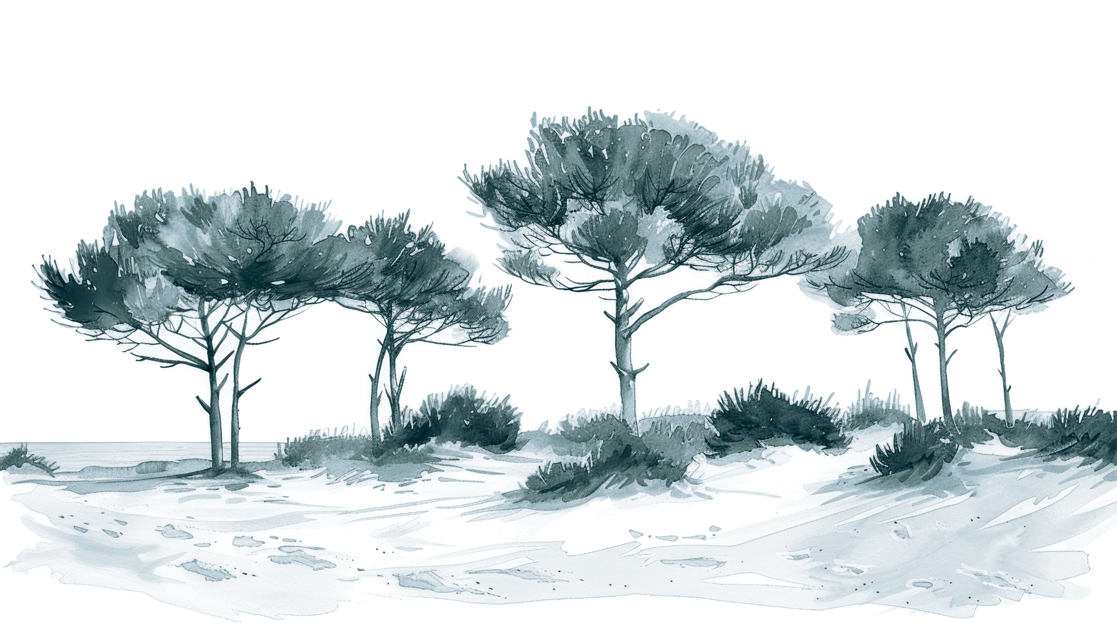 Les Pins de la Plage Bleu gris