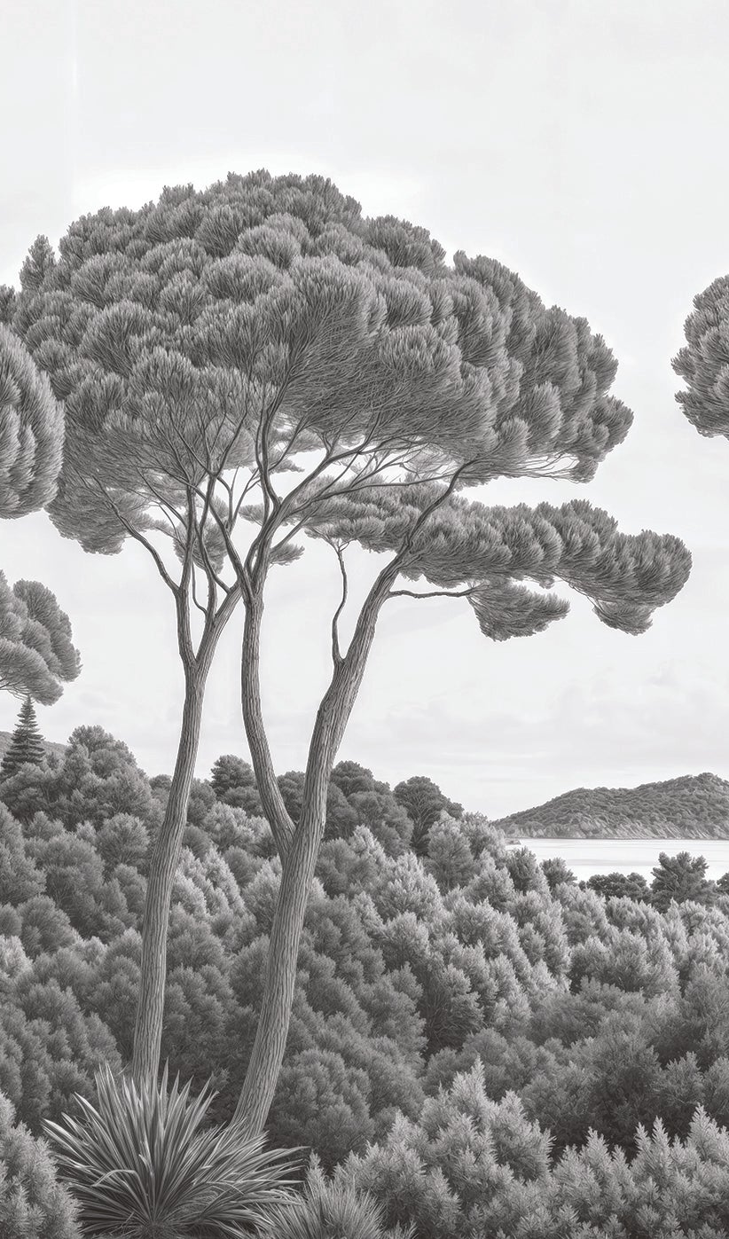 Image croppée