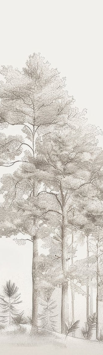 Douceurs des bois