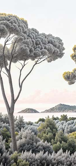 Image croppée