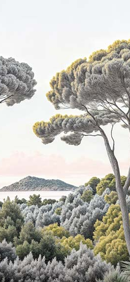 Image croppée