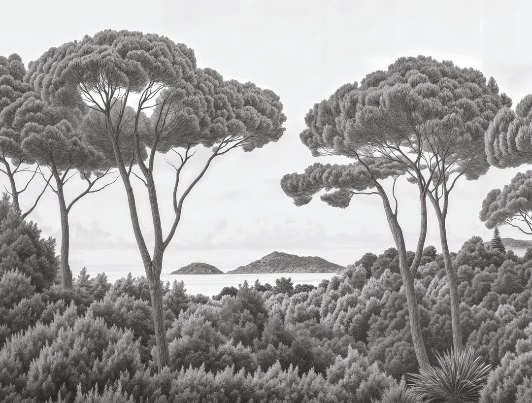 Image croppée