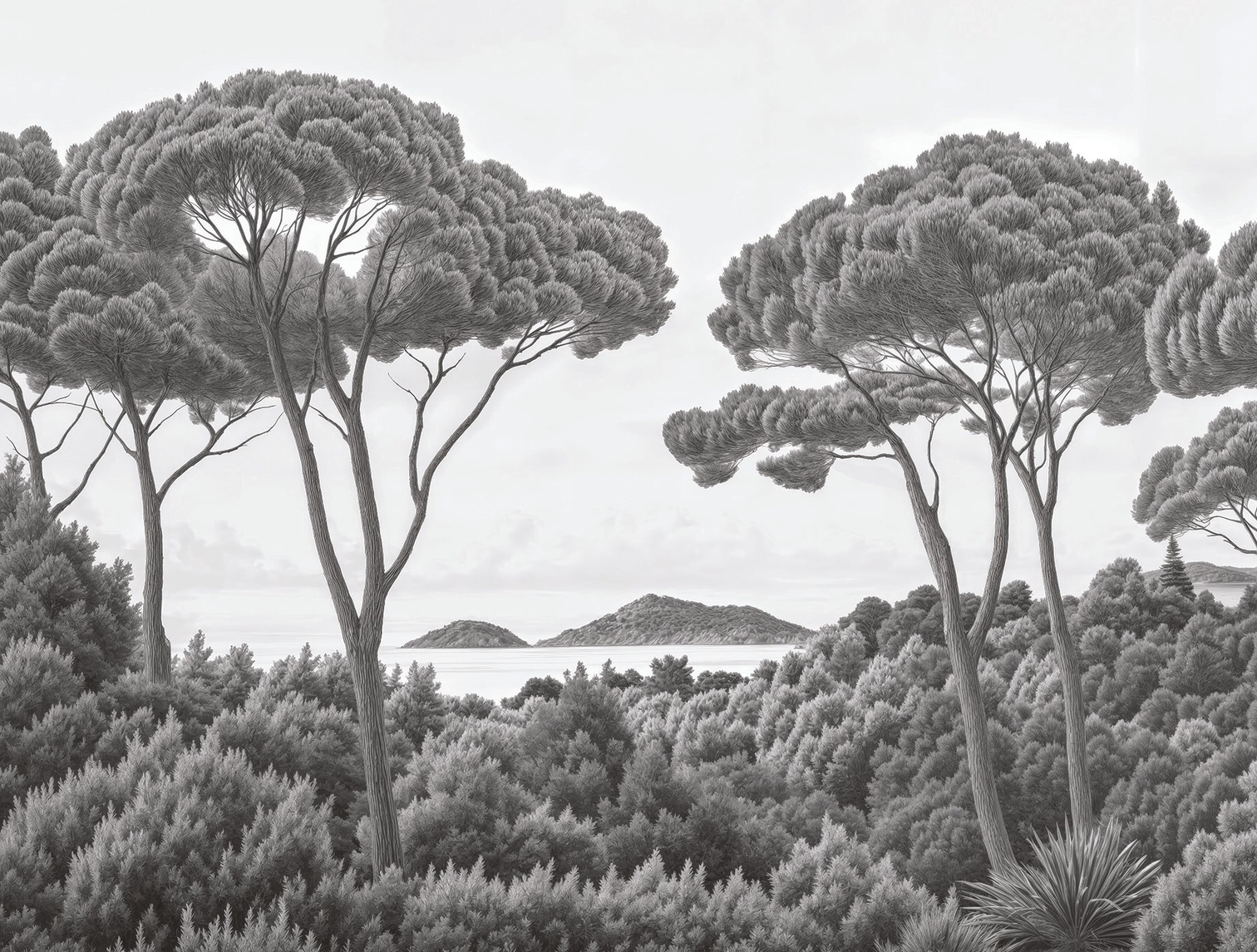 Image croppée