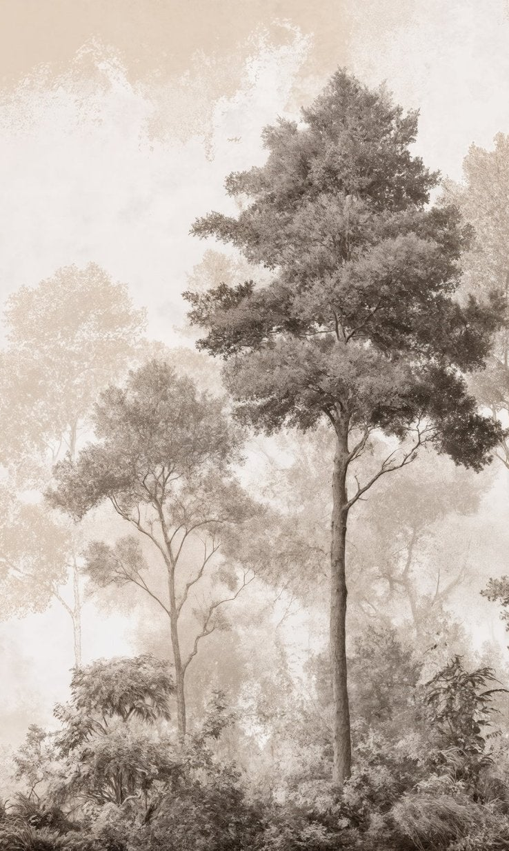 Forêt des Silences
