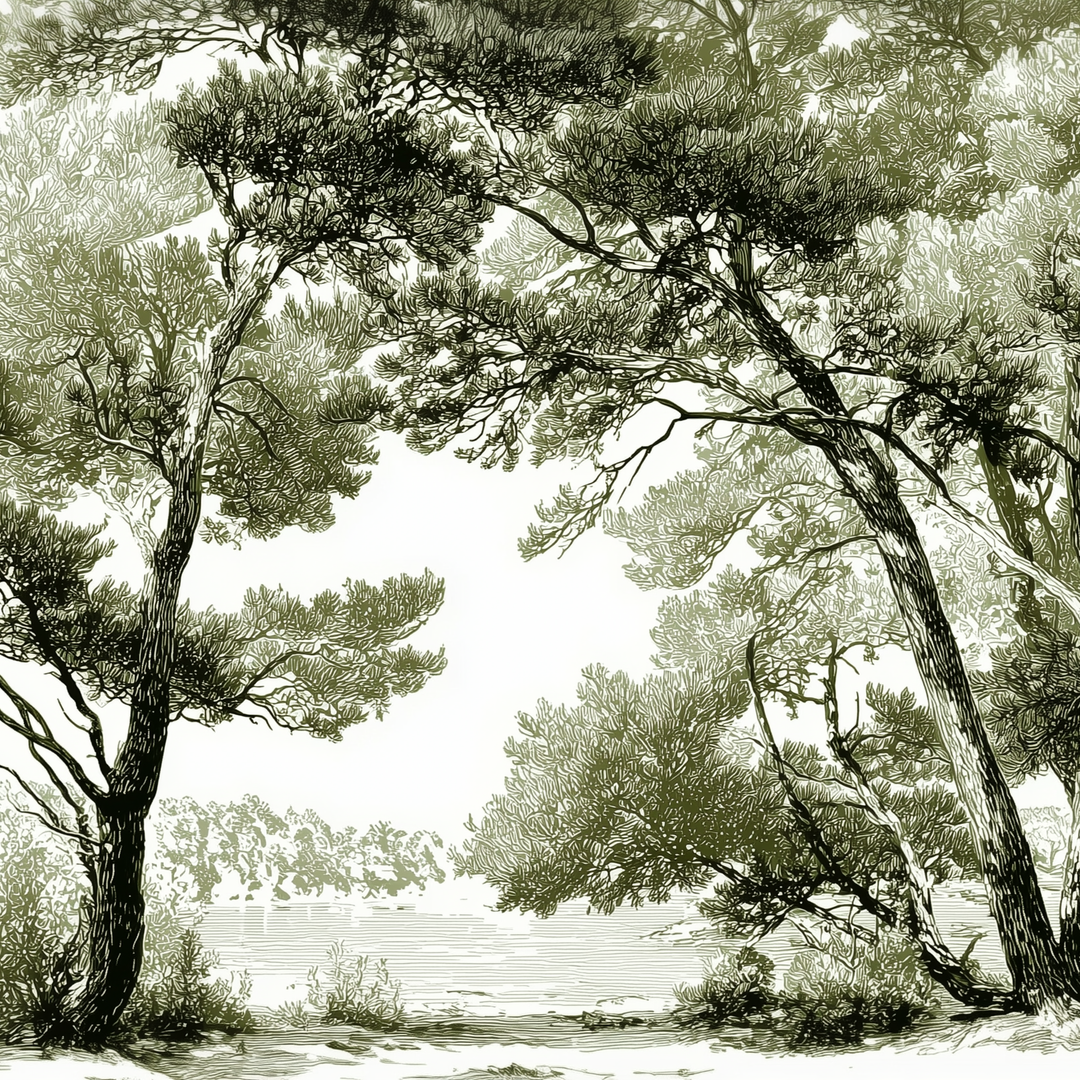 Image croppée