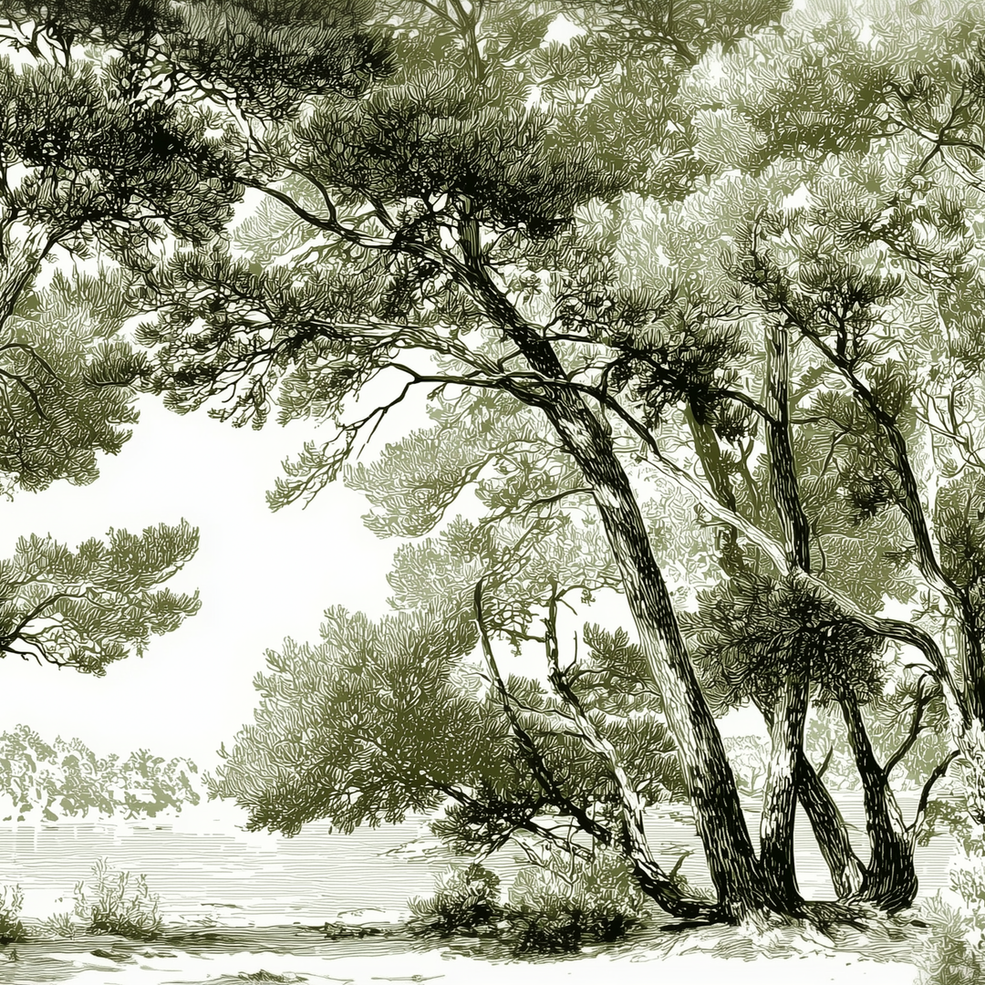 Image croppée