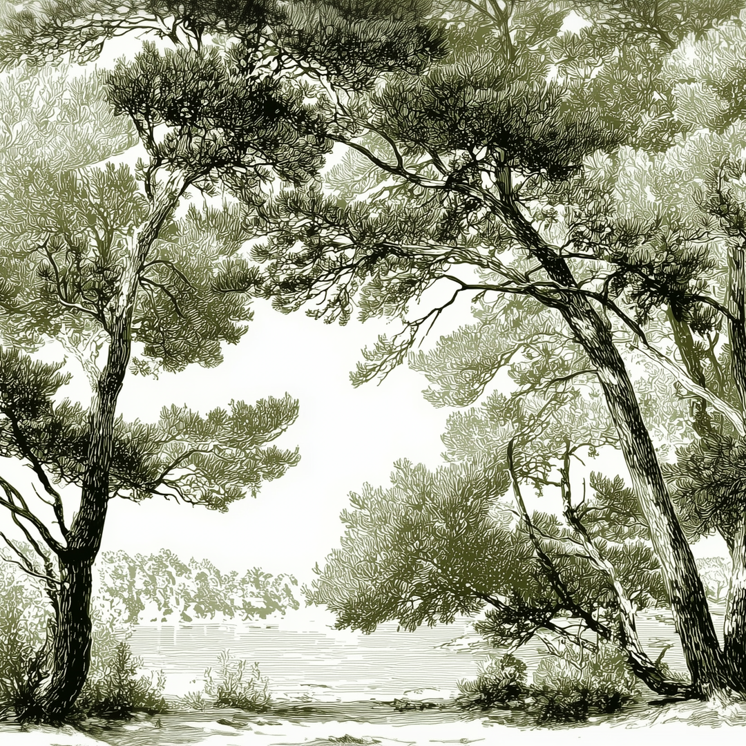 Image croppée