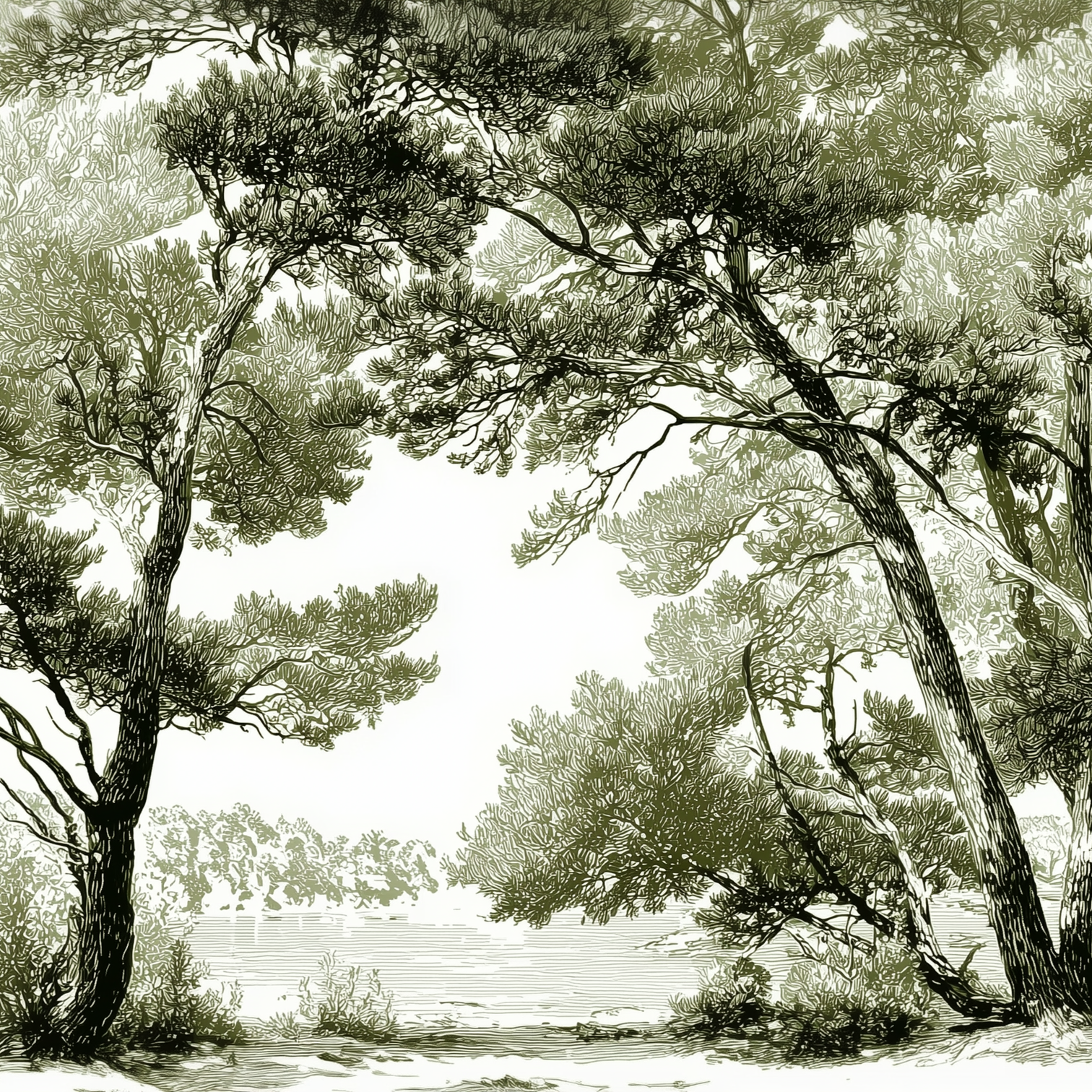 Image croppée