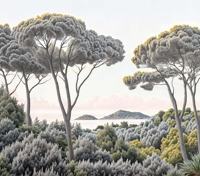 Image croppée