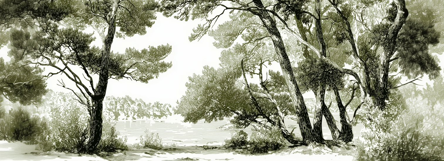 Image croppée