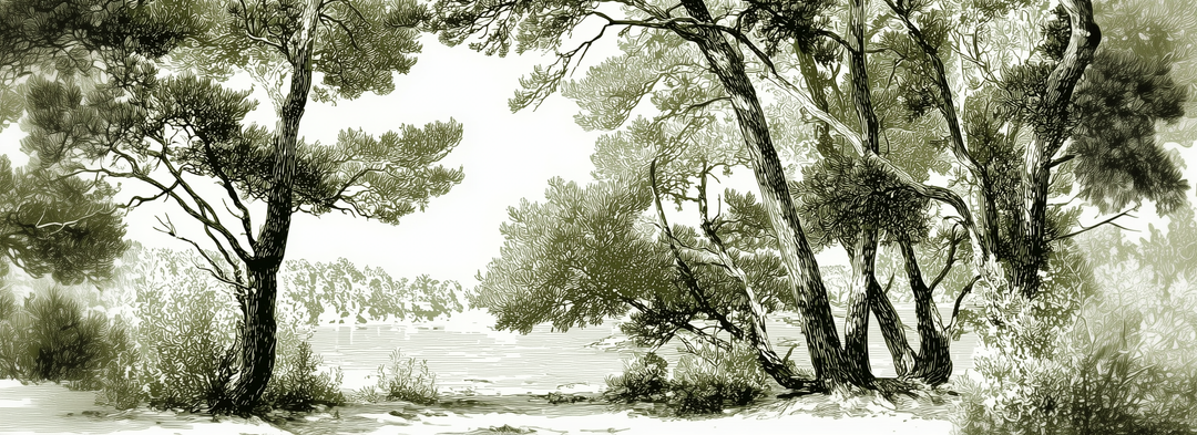 Image croppée