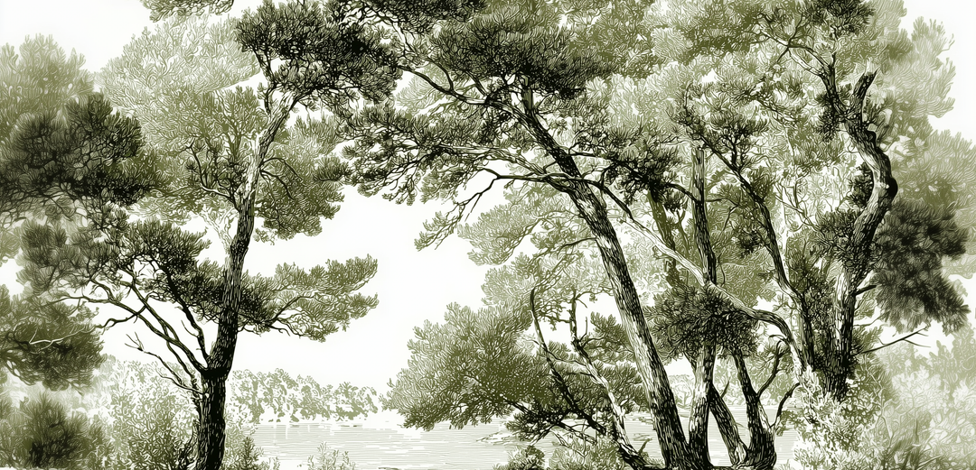 Image croppée
