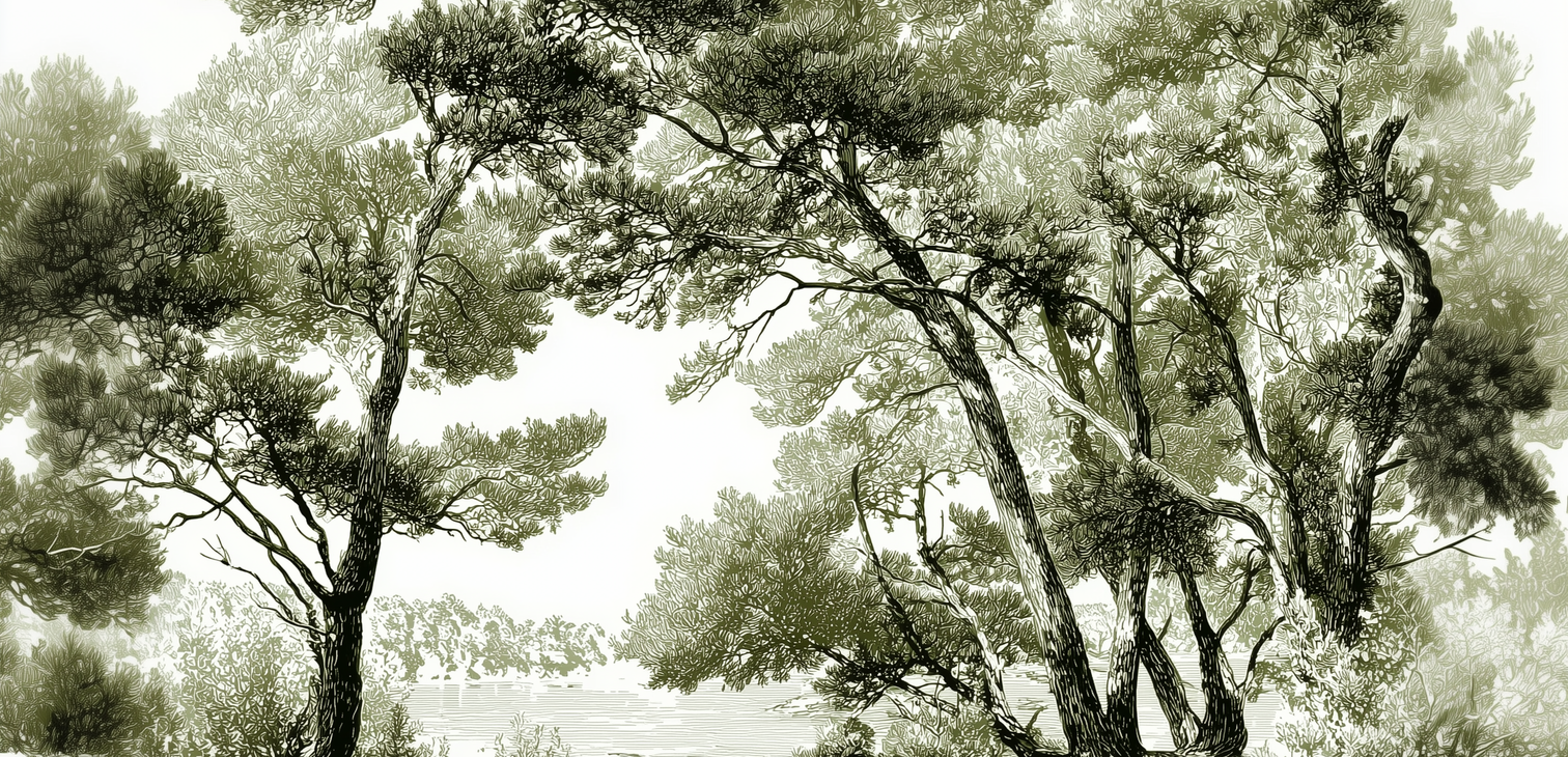 Image croppée