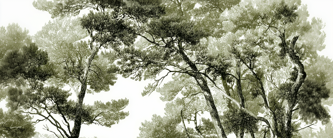 Image croppée