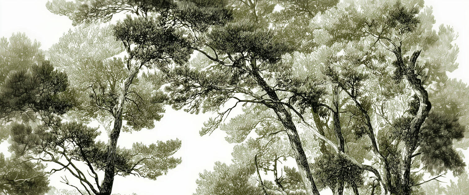 Image croppée