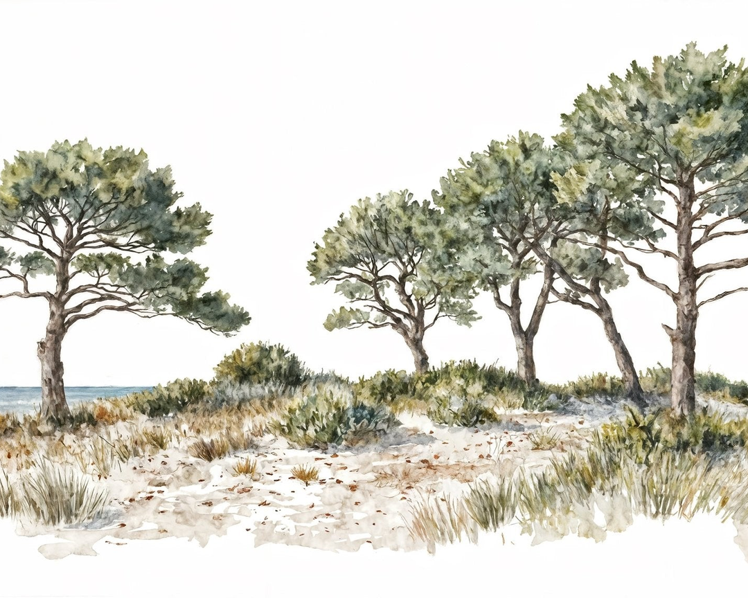 Image croppée