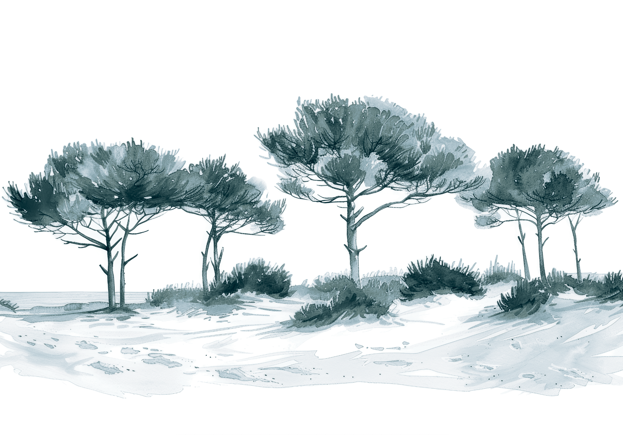 Les Pins de la Plage Bleu gris