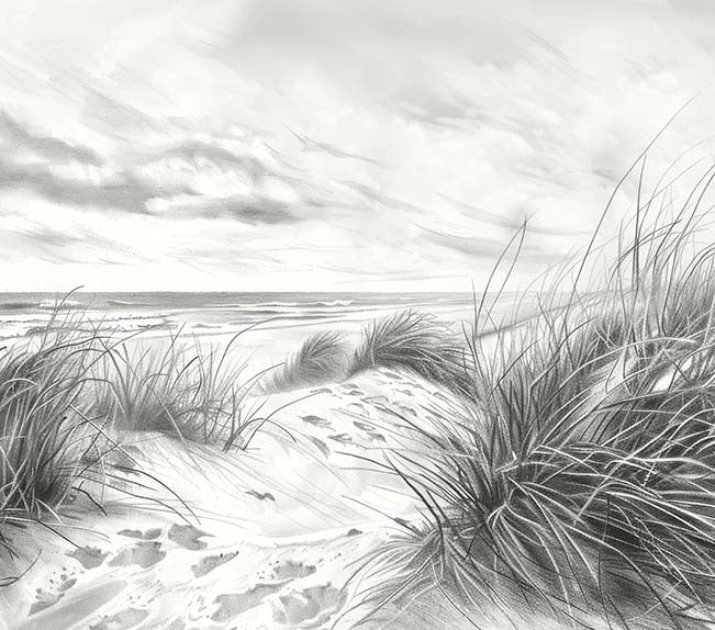 Image croppée
