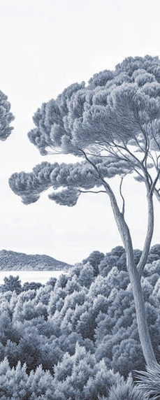 Image croppée