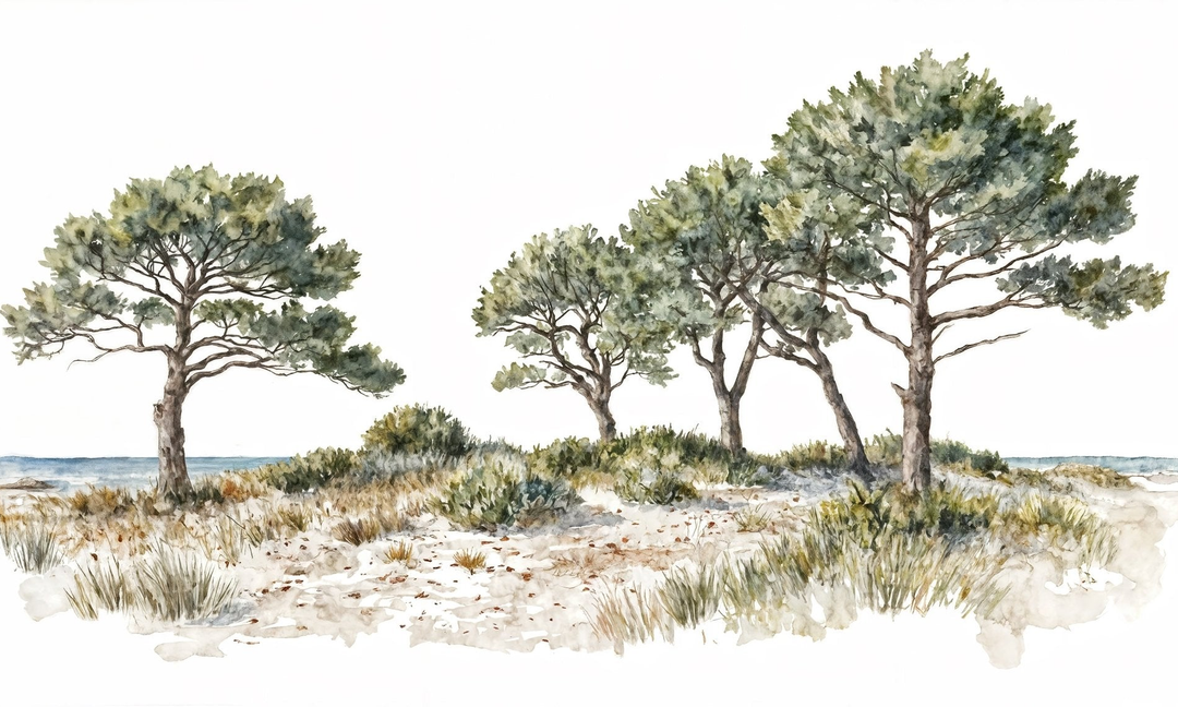 Image croppée