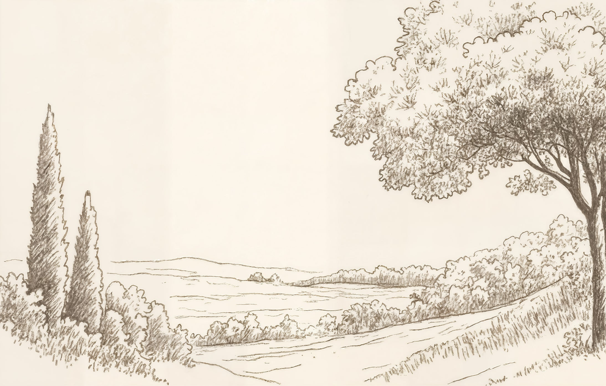 Image croppée