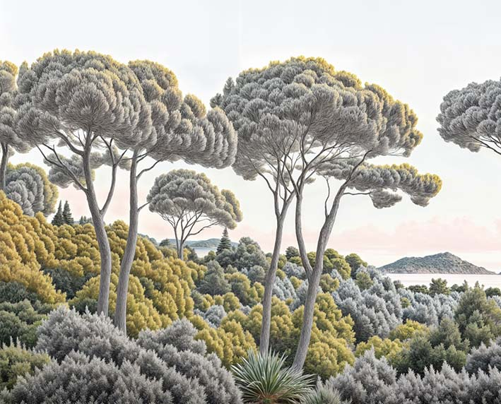 Image croppée
