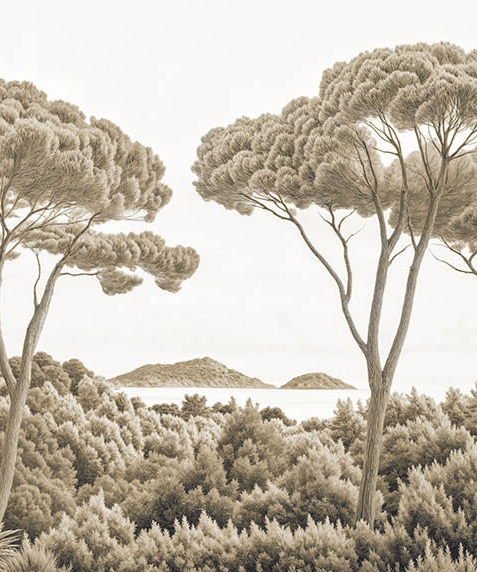 Image croppée