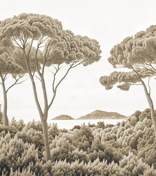 Image croppée