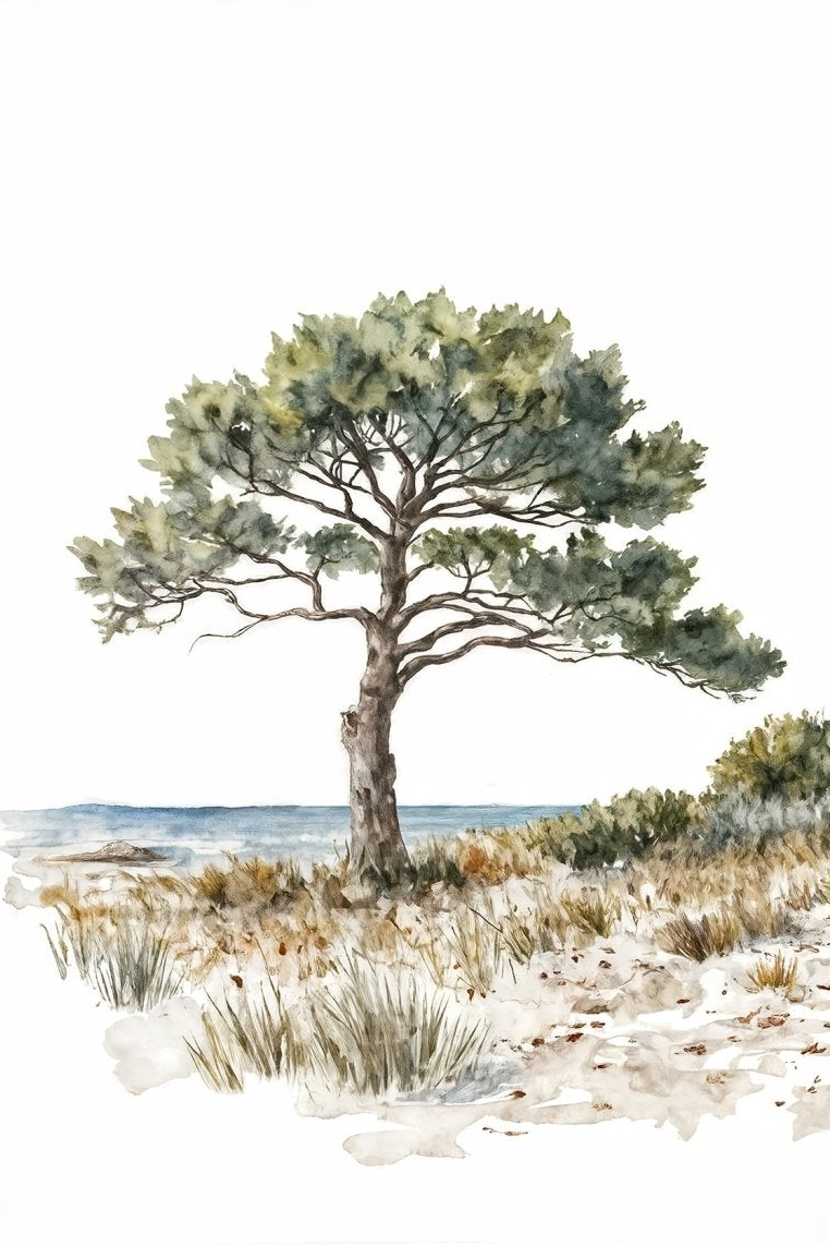 Image croppée