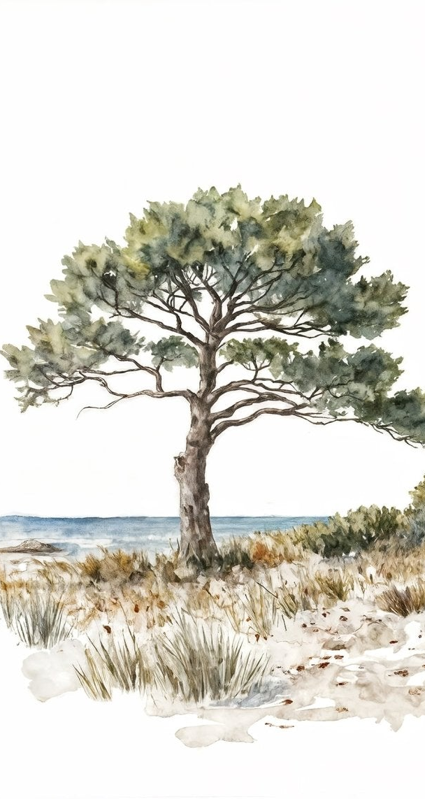 Image croppée