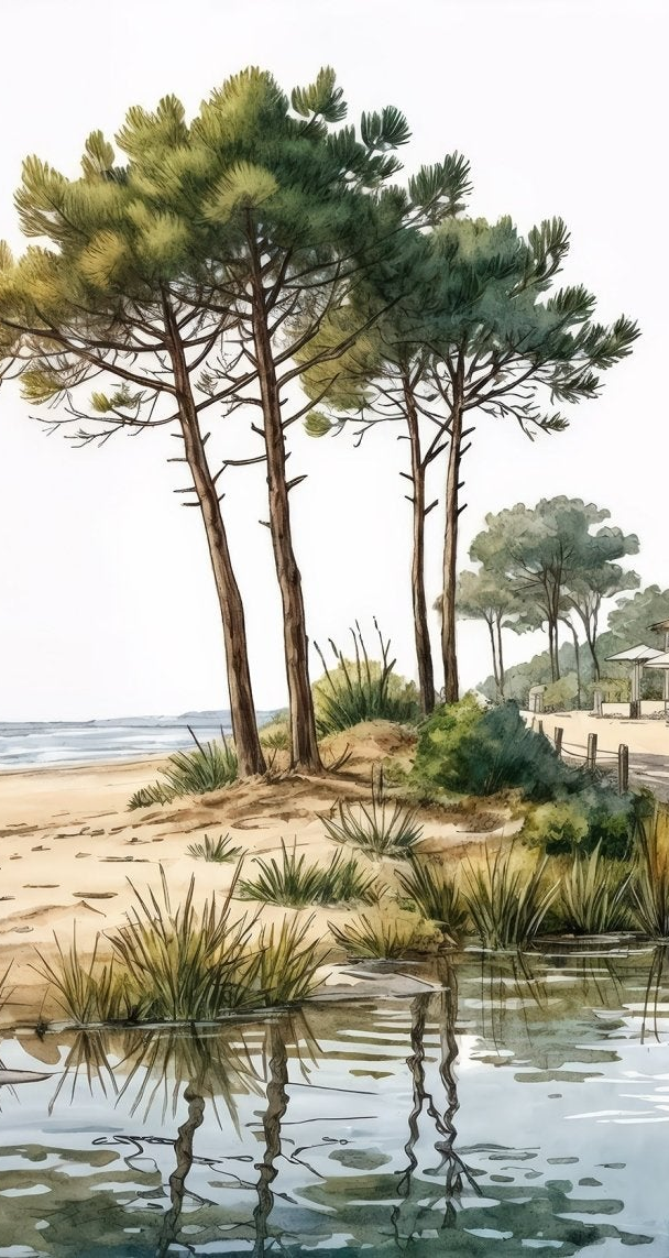 Image croppée