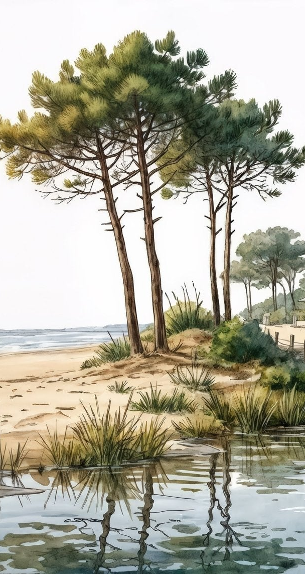 Image croppée